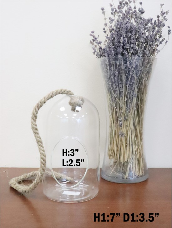 Capsule Shape Micro Landscape Glass Vase